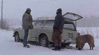 Searching For A Grim Minnesota Murder Movie Car? Simple Plan Volvo Amazon For Sale!